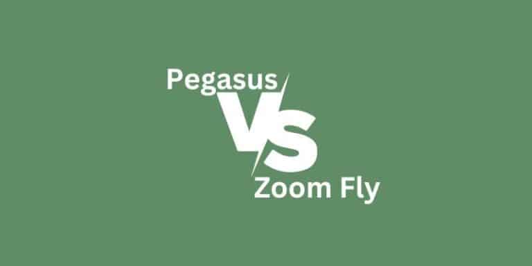 Nike Pegasus Vs Nike Zoom Fly